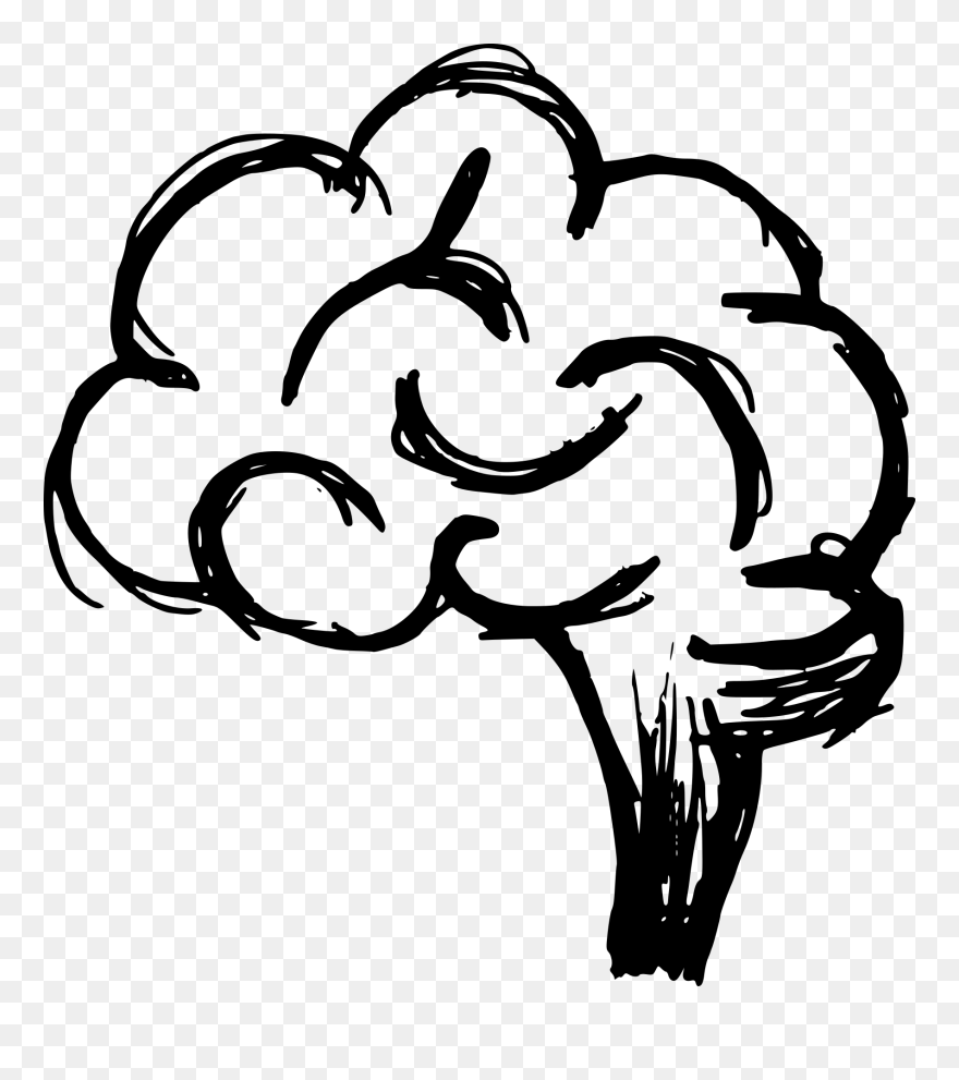 Brain Drawing Png Clipart