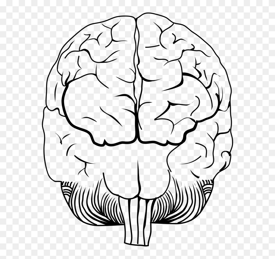 Line Art,plant Stem,white - Clip Art - Png Download