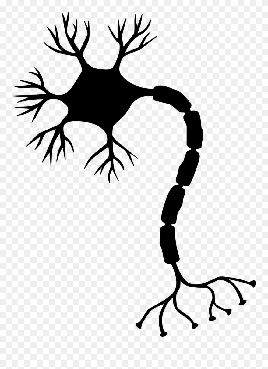 Guillain Barre Syndrome Clipart