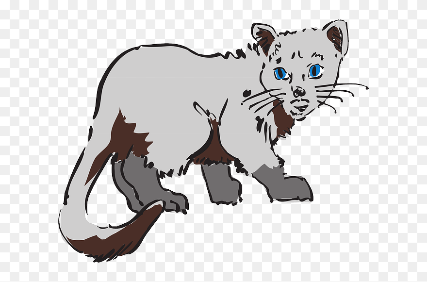 Cat, Gray, Art, Pet, Animal, Fur - Cat Coloring Pages Clipart