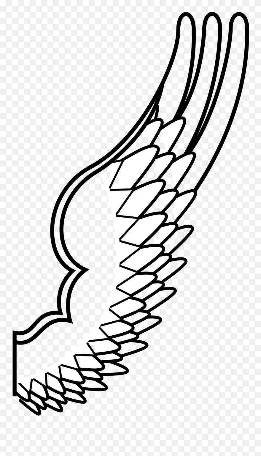 Function Drawing Wing - Hawk Wings Clipart - Png Download