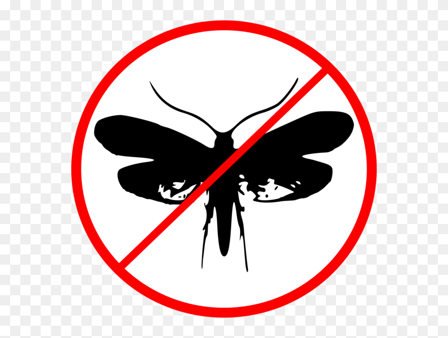 Dealing With Clothing Moths - Icone Pas De Telephone Clipart