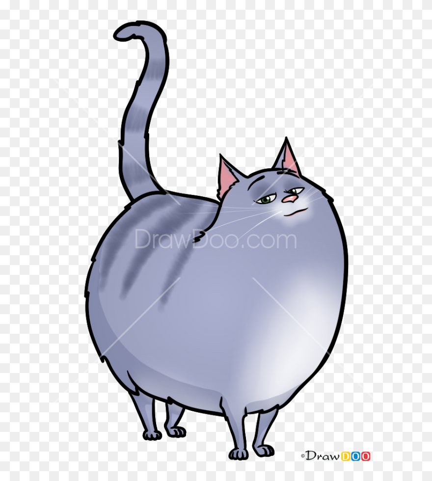 How To Draw Chloe, Secret Life Of Pets - Secret Life Of Pets Drawings Clipart