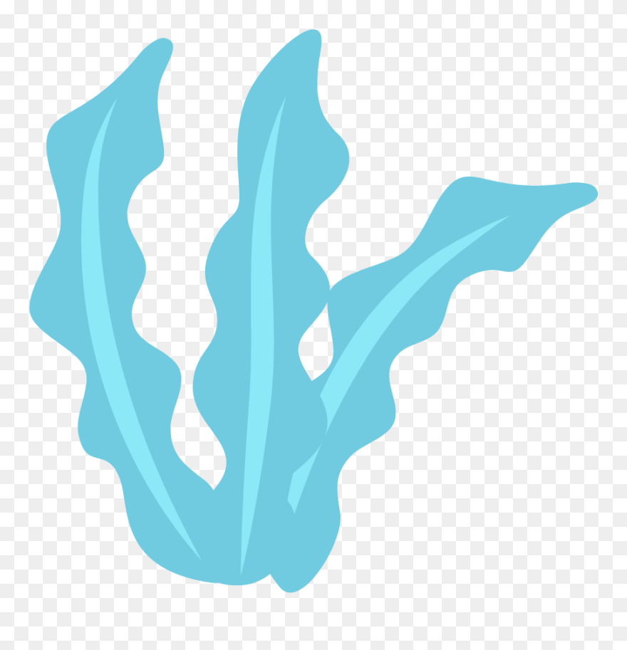 Marine Life Clip Png - Algas Png Transparent Png