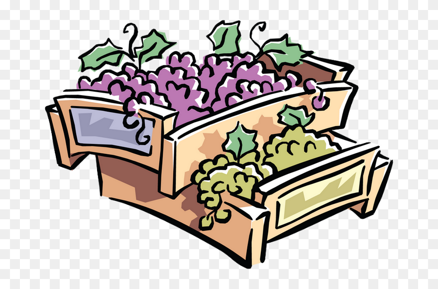 Raisin - Clipart - Png Download