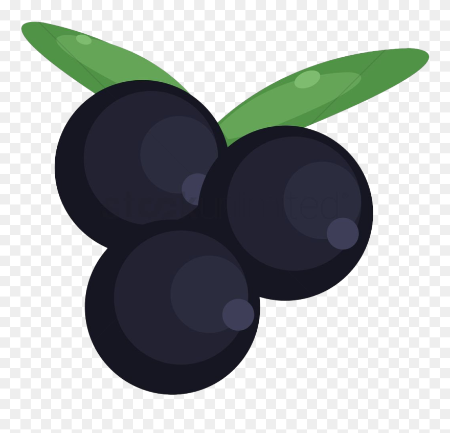 Blackcurrant Fruit Transparent - Cherry Clipart