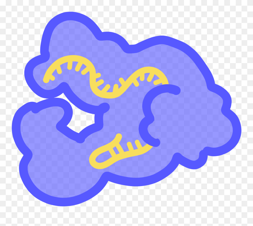 Image Of Blue Cas12 Protien With Yellow Rna - Cas 12 Clipart