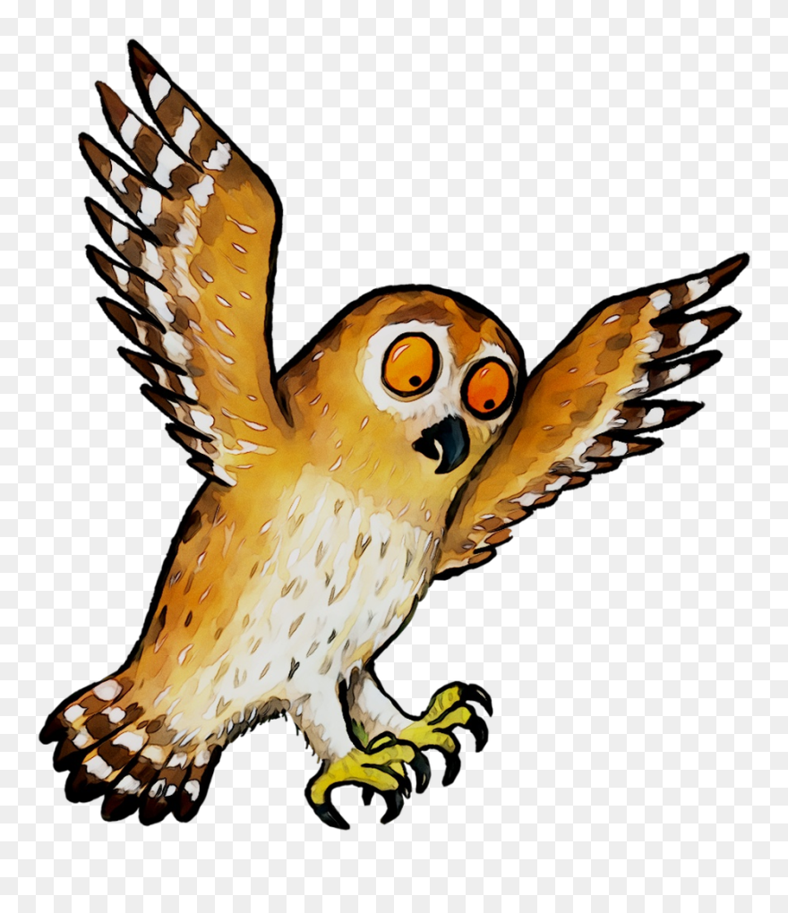 Clipart Gruffalo Owl - Owl From The Gruffalo - Png Download