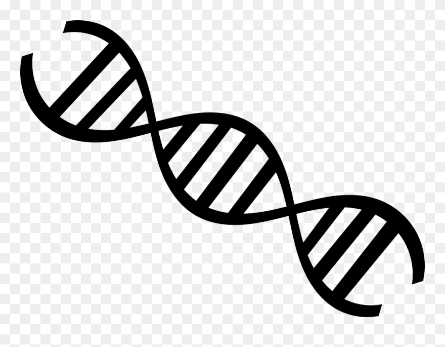 Biology Dna Genetics - Dna Clipart Transparent Background - Png Download