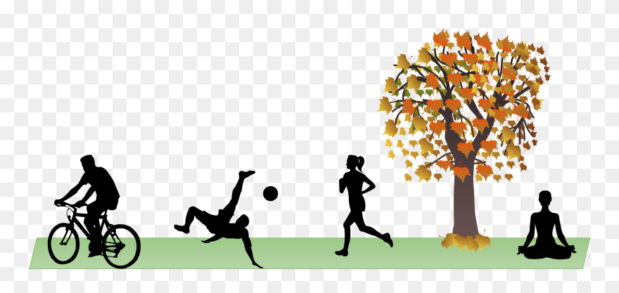 Clipart Of People Doing Various Wellness Activities - Clip Art Autumn Maple Tree - Png Download