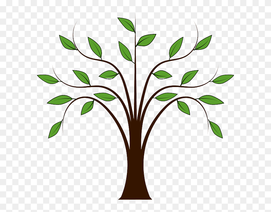 Forest, Leaves, Nature, Plant, Spring, Tree - Tree With Leaf Drawing Clipart