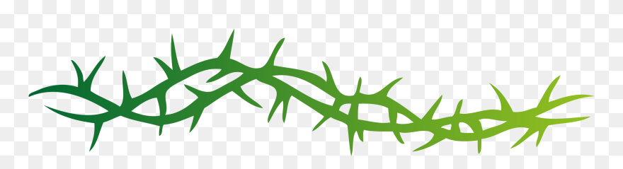 Spine Clip Arts - Thorns Clipart - Png Download