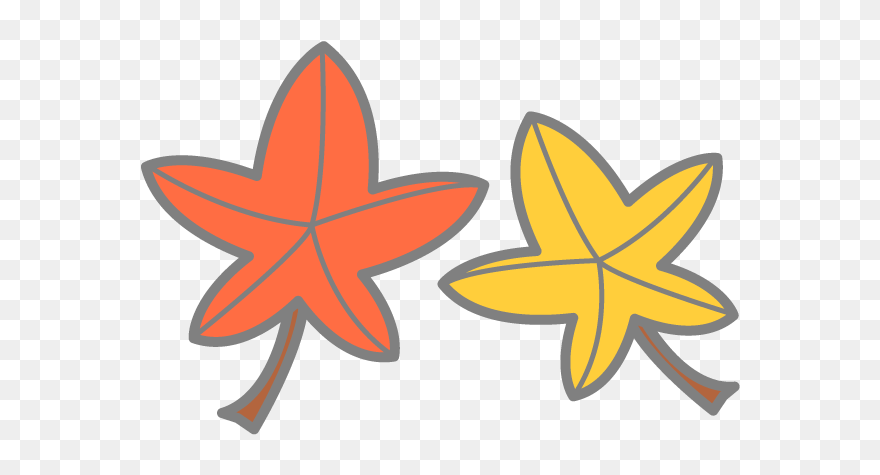 Marine Invertebrates Clipart