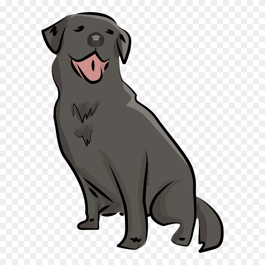 Black Lab Clipart - Labrador Retriever - Png Download