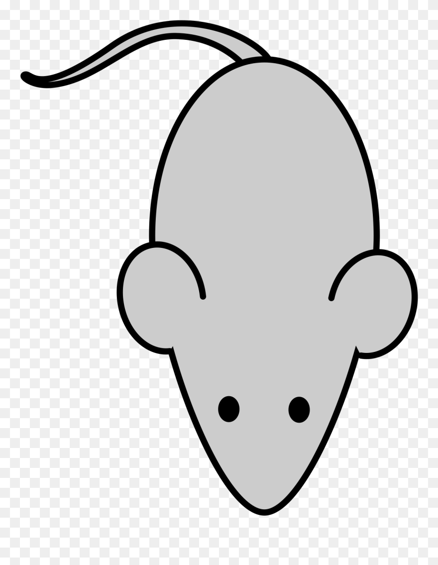 Mouse Drawing Easy Clipart