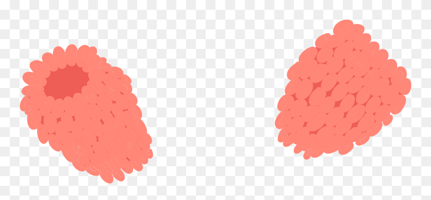 Illustration Clipart