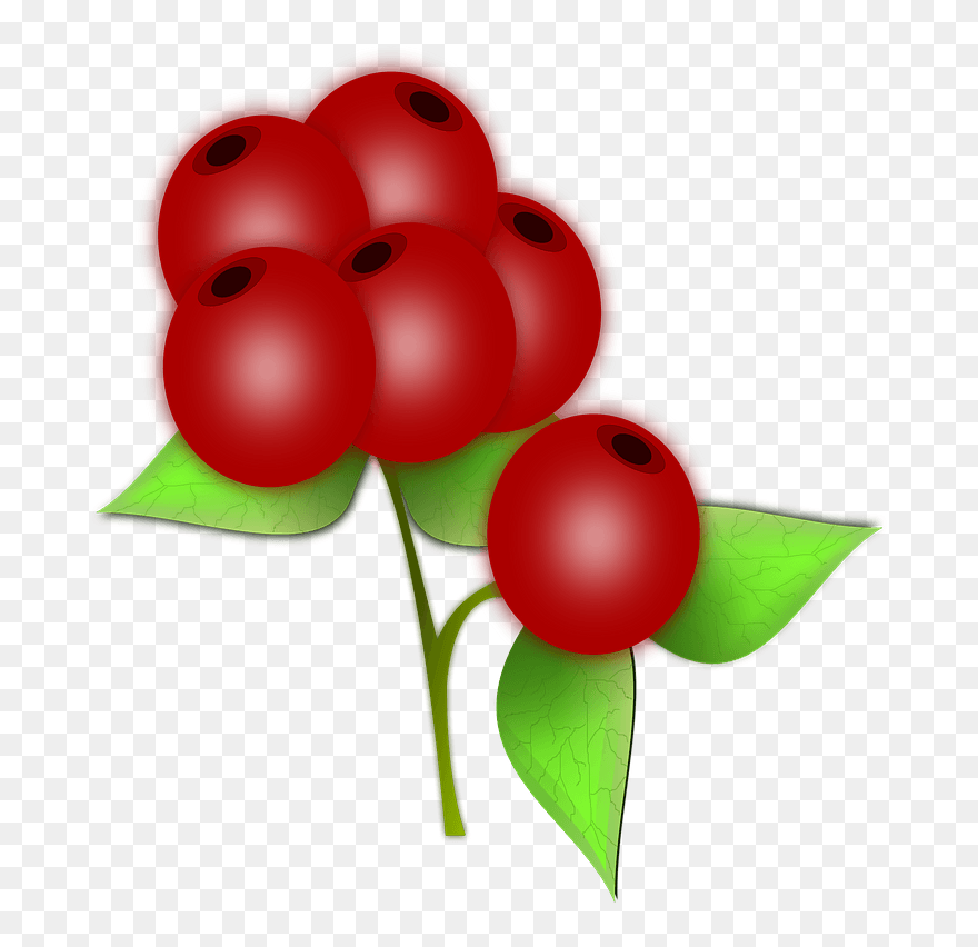 Red Berry Clipart - Jagódki Obrazki Dla Dzieci - Png Download
