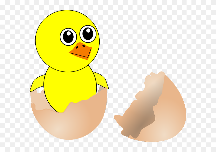 Chick, Hatching, Egg, Shell, Broken, Open, Birthday - Born Clipart - Png Download
