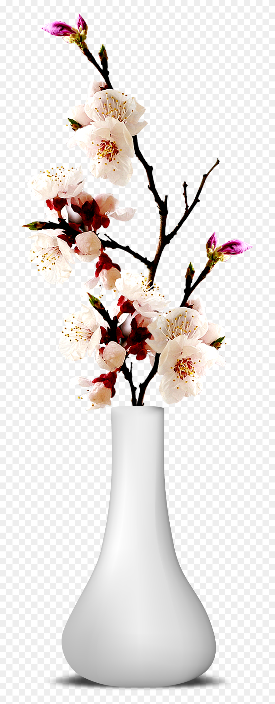 Flower Vase Png Transparent Image - Flower Vase Png Transparent Clipart