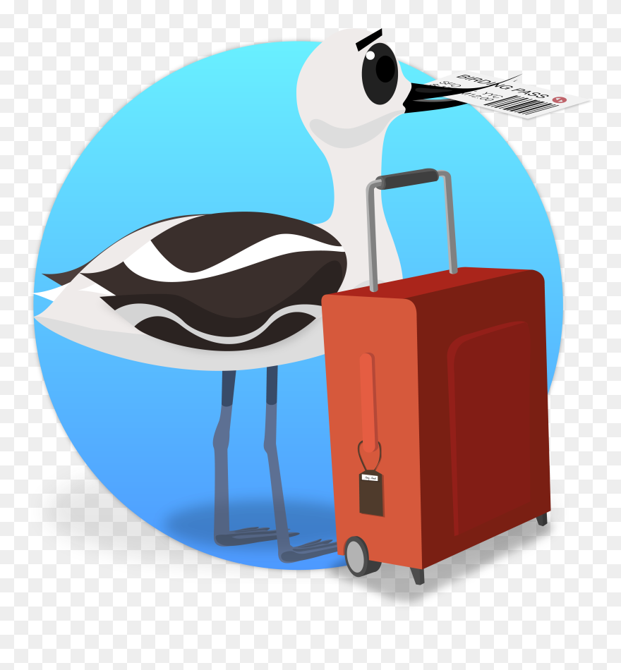 Clip Art - Png Download