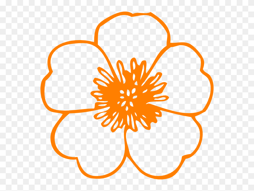 Orange Flower Drawing Png - Flower Clip Art Free Transparent Png