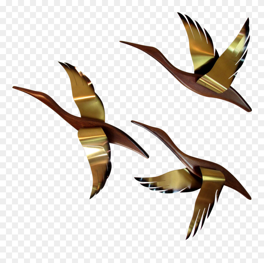 Transparent Drying Off With A Towel Clipart - Water Bird - Png Download