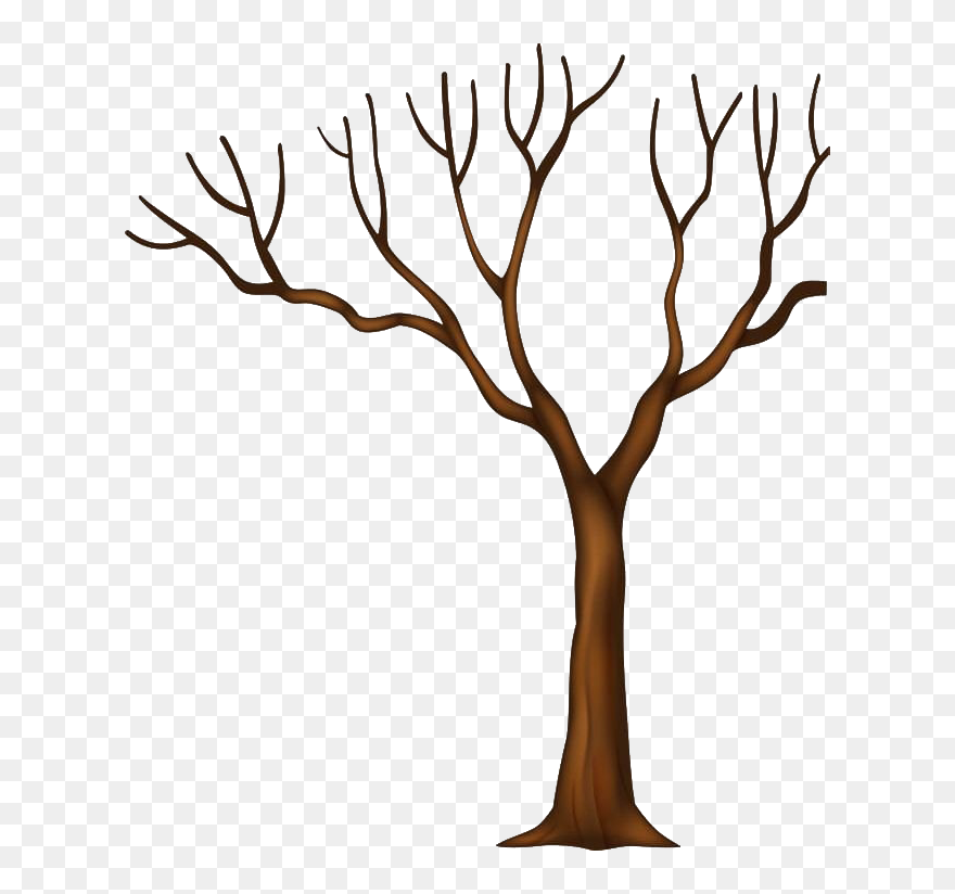 Tree Trunk Png Transparent - Cartoon Tree Trunk Png Clipart