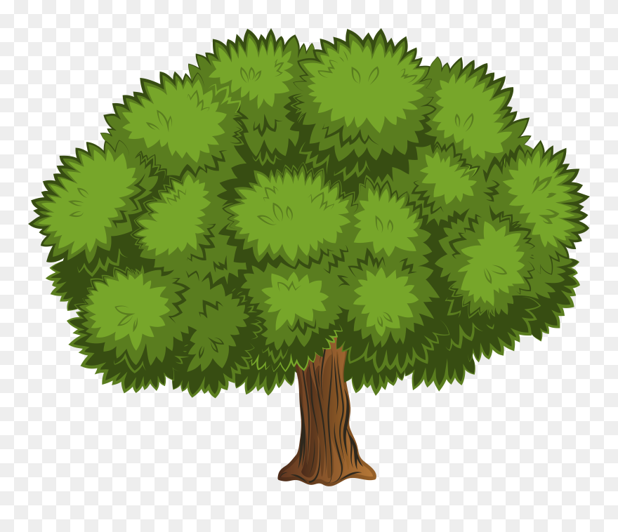 Trees Top View Clipart