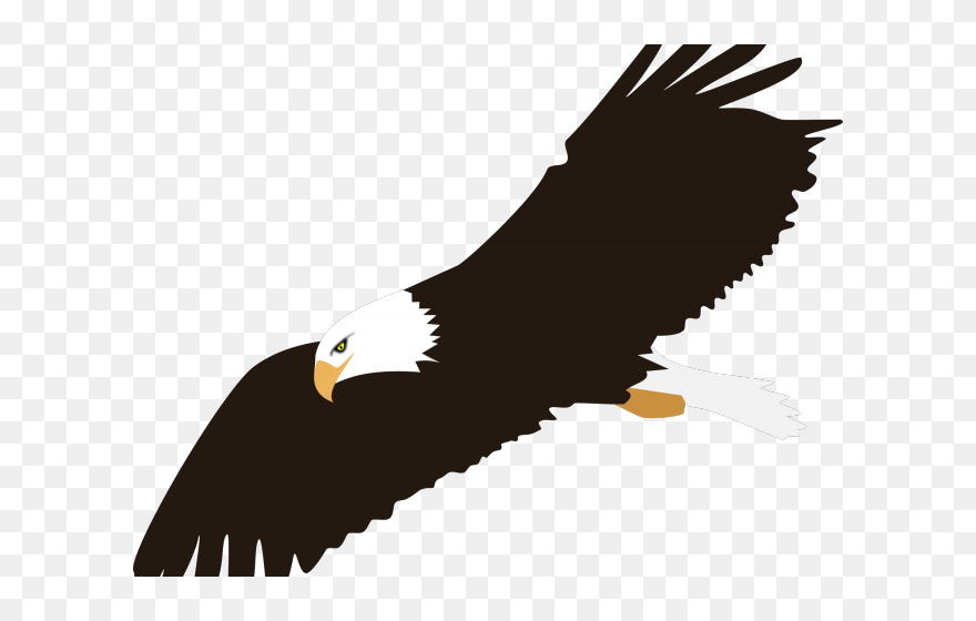 Eagle Clipart Transparent Background - Png Download
