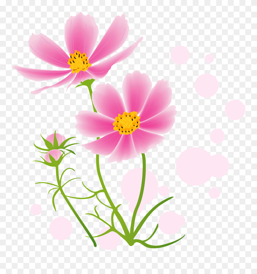コスモス イラスト 無料 Clipart