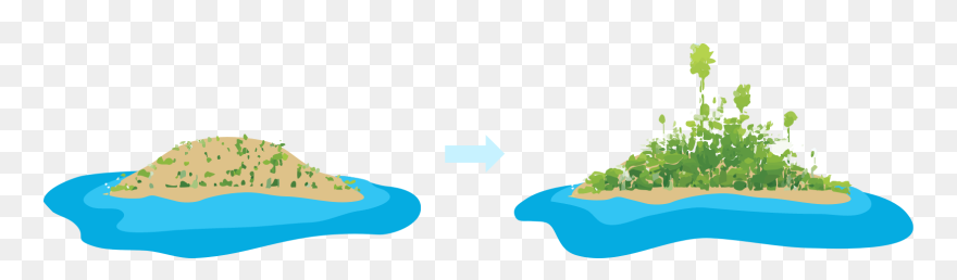 Extinct Wildlife Of The Mascarene Islands Clipart