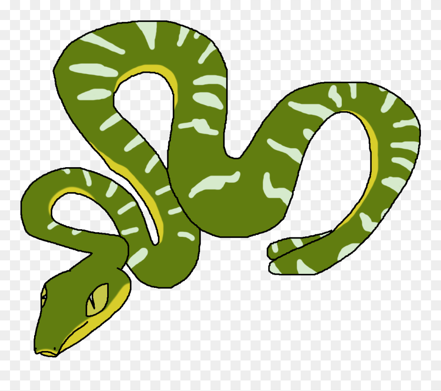 Boa Clipart Transparent - Emerald Tree Boa Clipart - Png Download