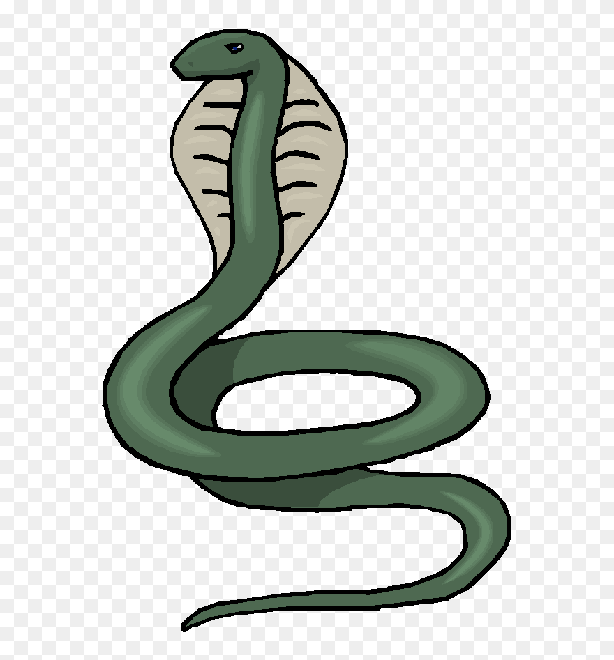 Rattlesnake Clipart Transparent, Picture - King Cobra Clip Art - Png Download