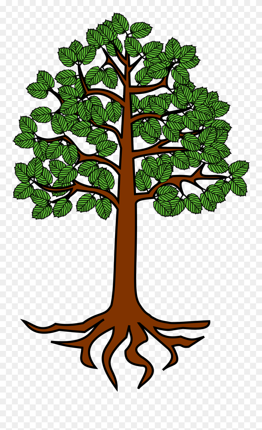 Tree Root Trunk Clip Art - Tree With Root Clipart - Png Download