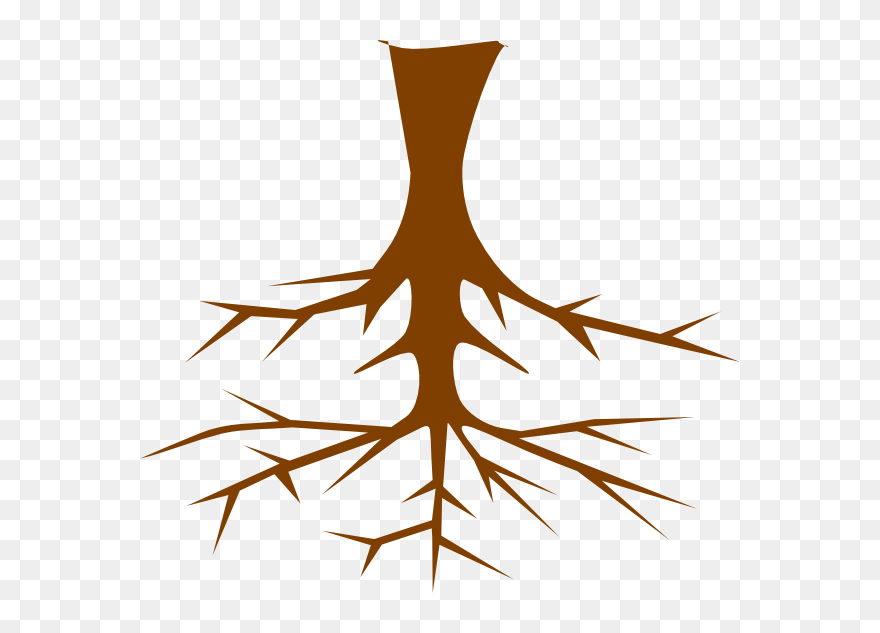 Roots Clipart - Tree Clipart With Roots - Png Download