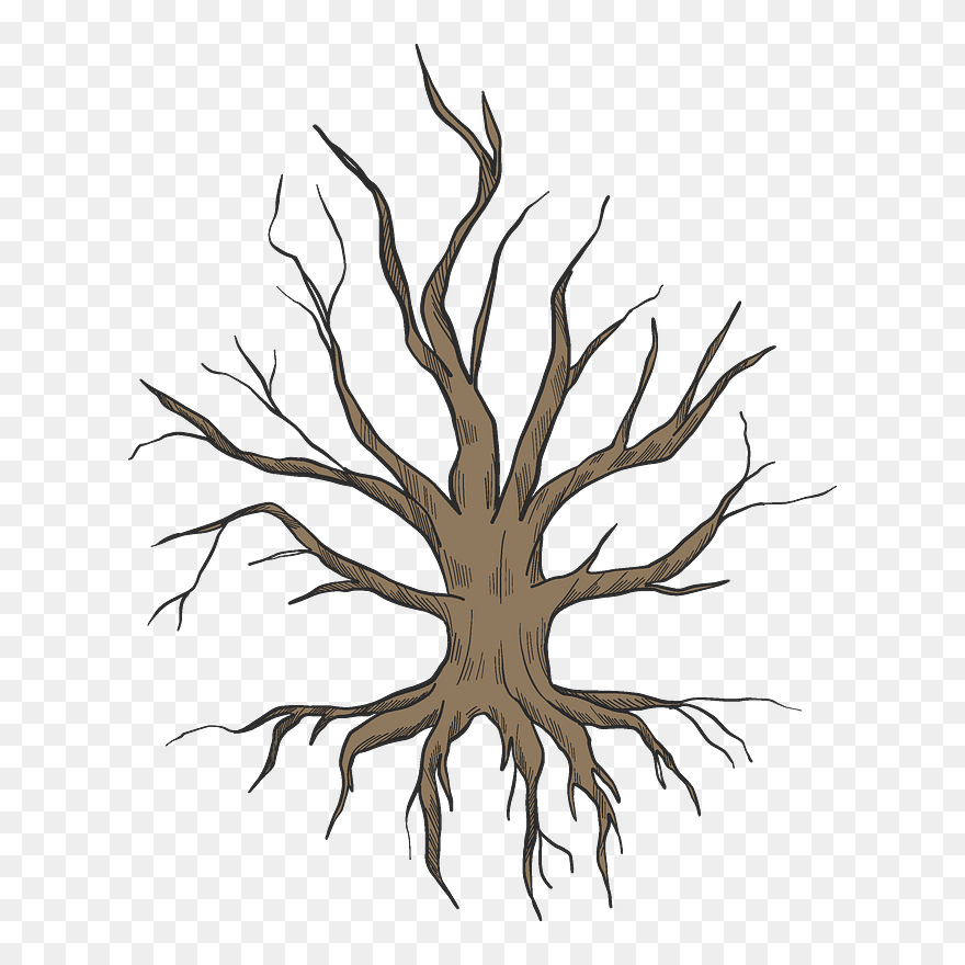 Dried-up Tree With Roots Clipart - Illustration - Png Download
