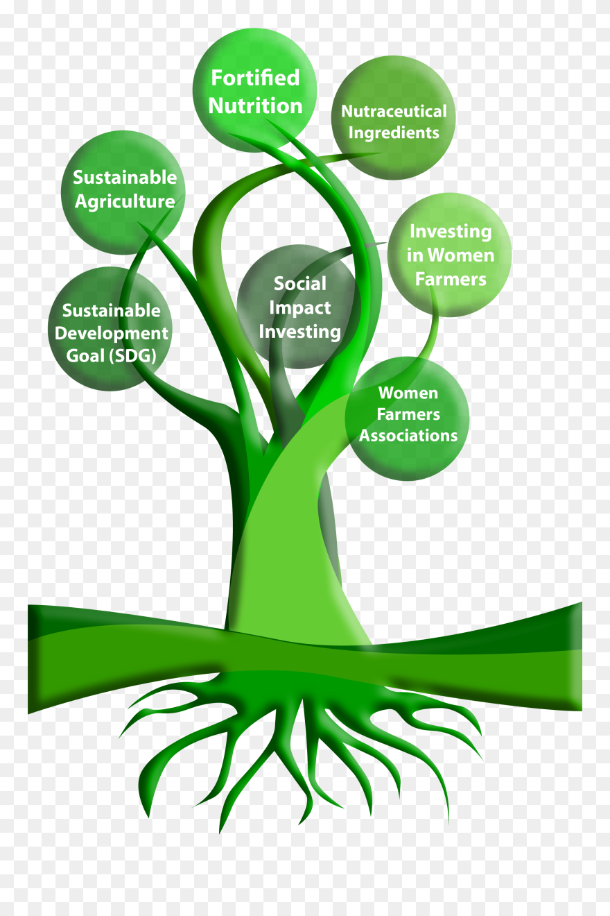 Roots Clipart Tree Diagram - Agriculture Tree Diagram Tree Chart - Png Download