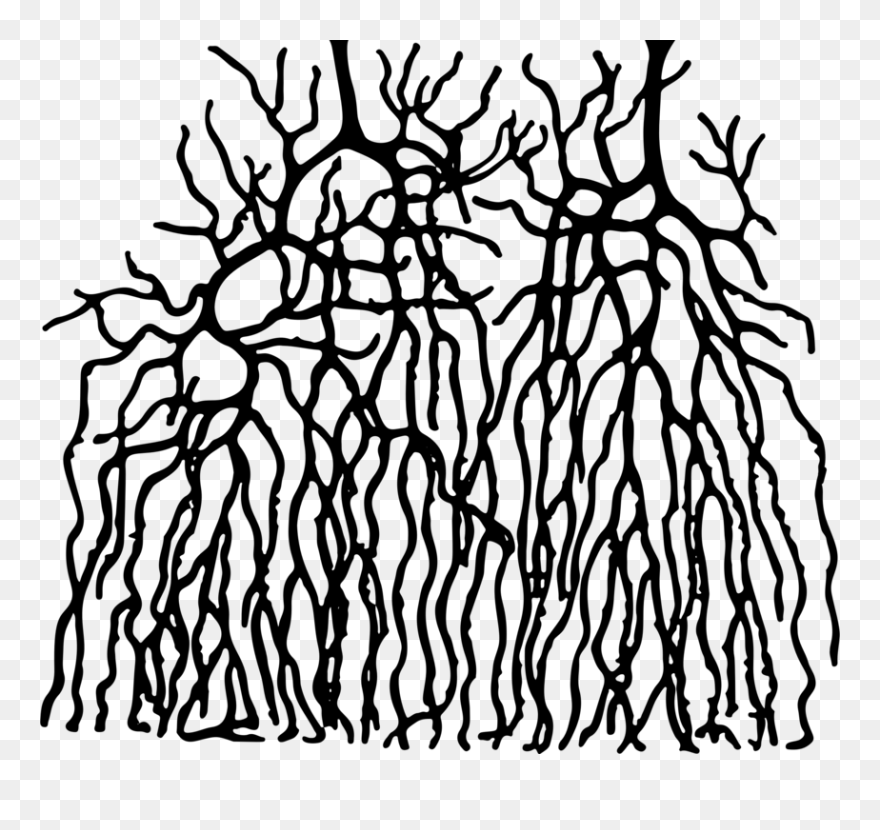 Art,symmetry,monochrome Photography - Visual Arts Clipart