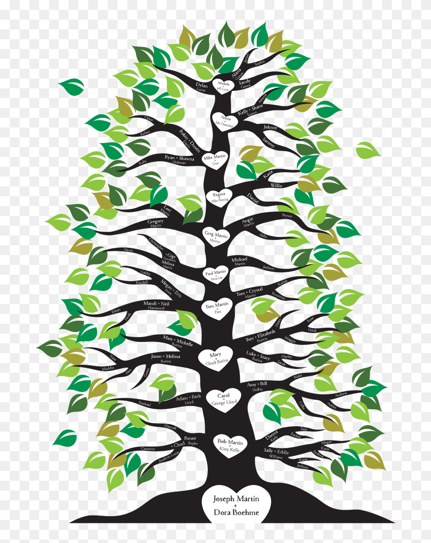 Family Tree Starting From Root Clipart