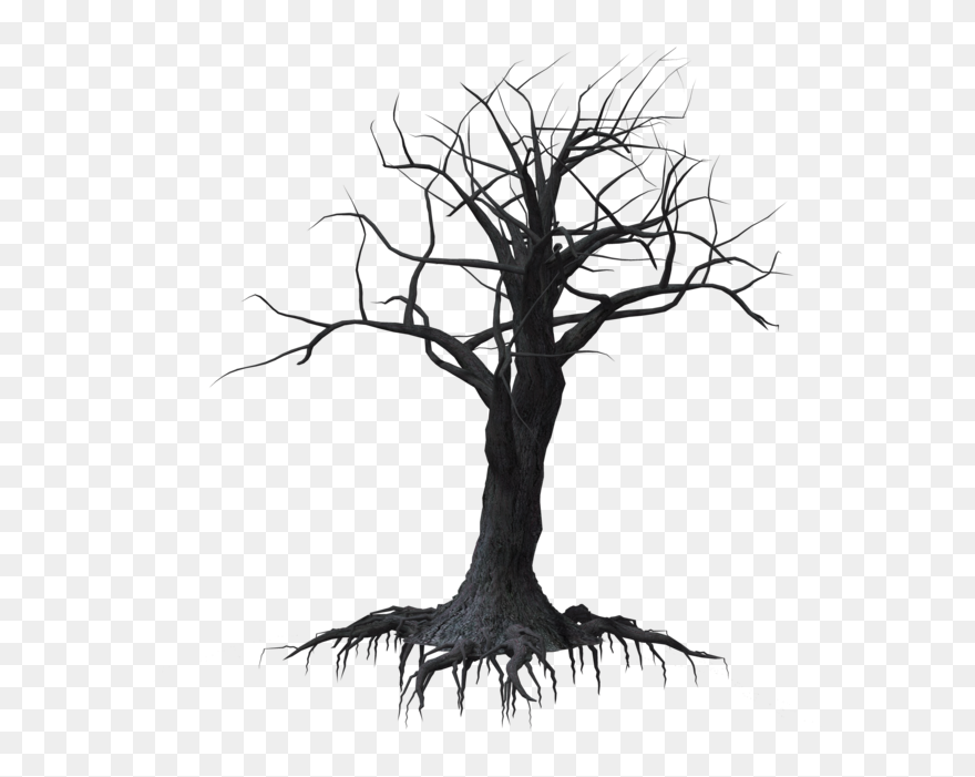 Creepy Tree - Creepy Tree Transparent Background Clipart