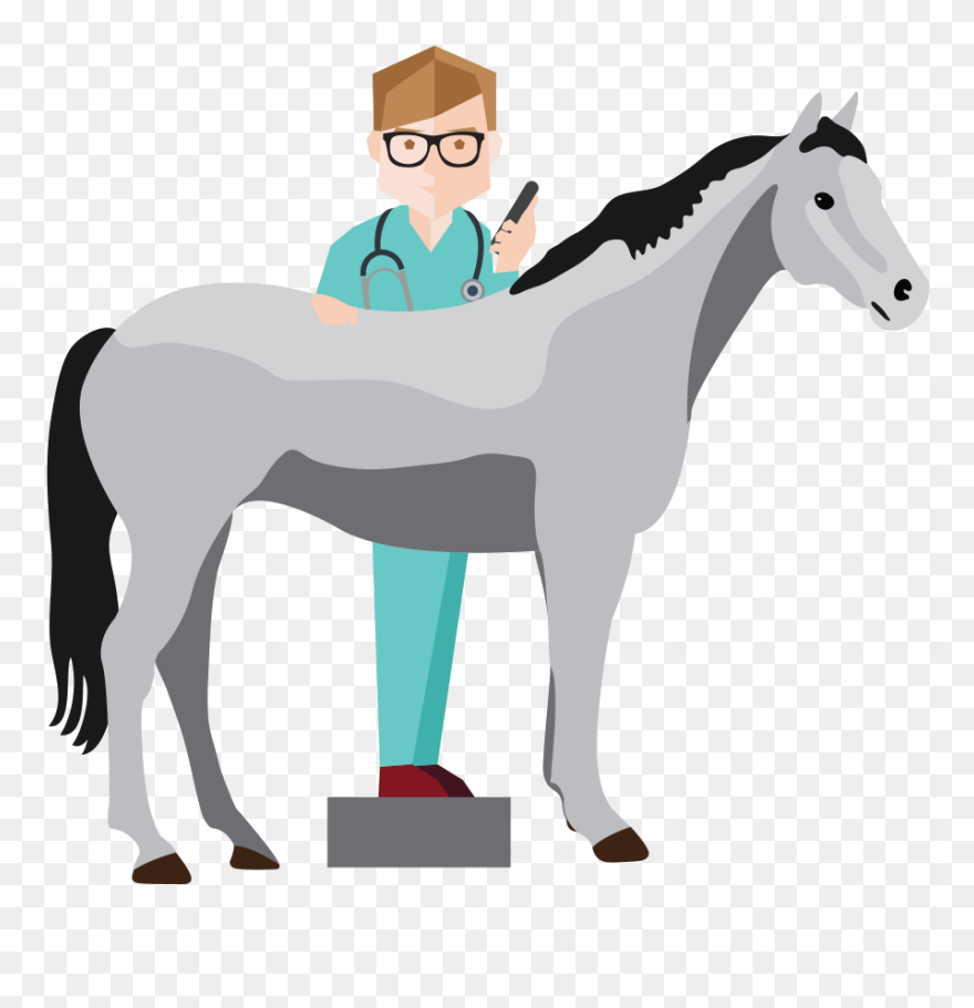 Transparent Cumbersome Clipart - Transparent Veterinarian Cartoon - Png Download