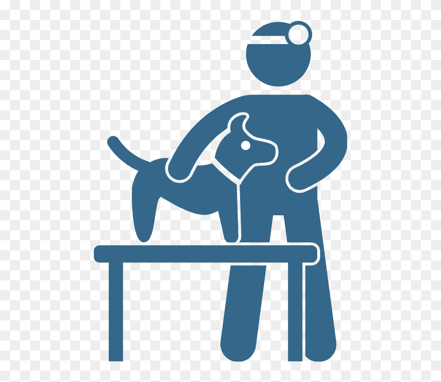 Veterinary Technician School Programs And Jobs Pet Doctor Icon