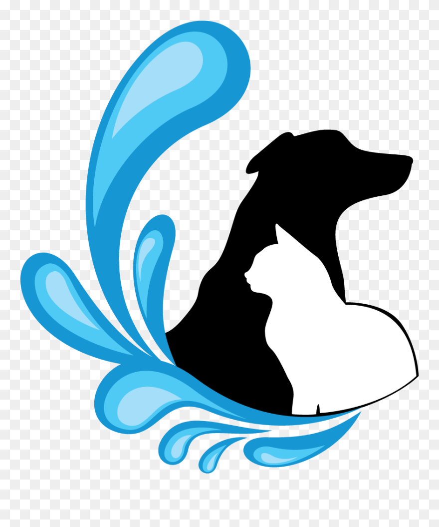 Sunshine Beach Vet - Vet Logo Png Clipart