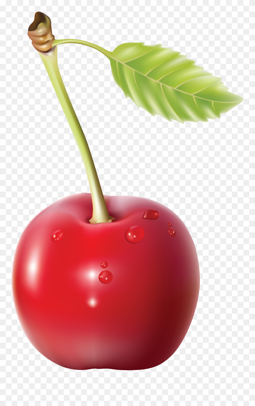 Red Cherry Png Clipart - Cherry Transparent Background
