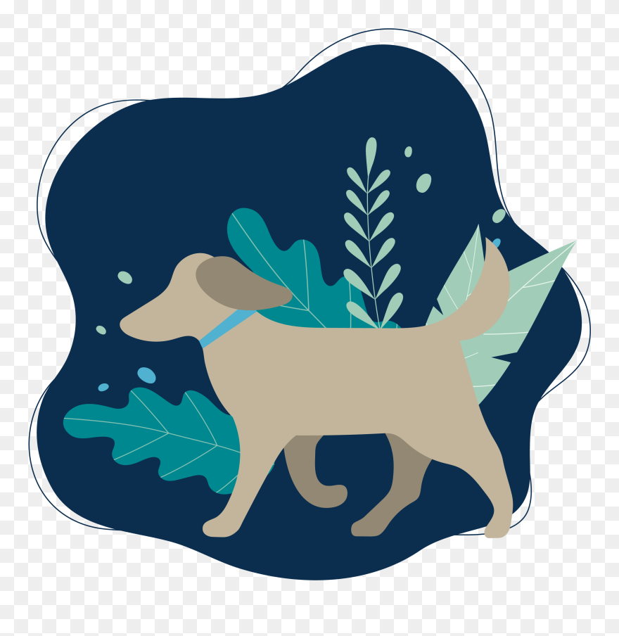 Illustration Clipart