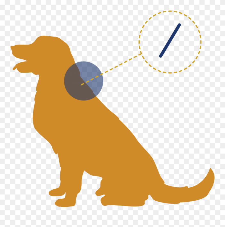 Disney Princess Wallpaper Draw Clipart