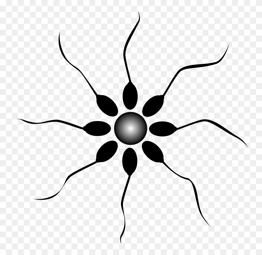 Sperm - Sperm Png Clipart