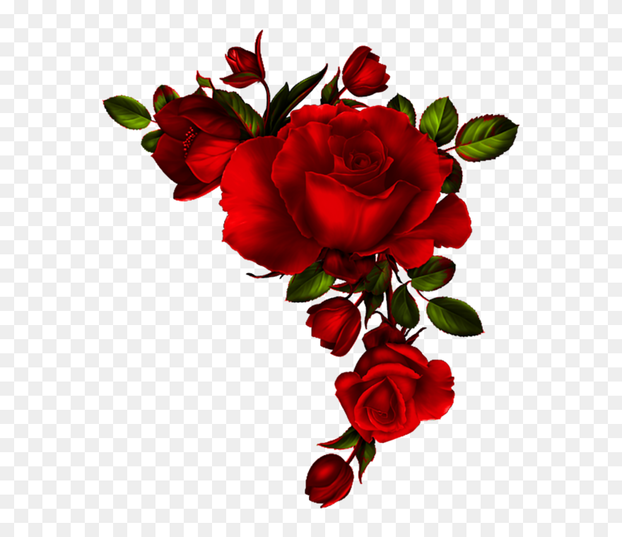 Buon Giorno Buon Pomeriggio Imagini Clipart