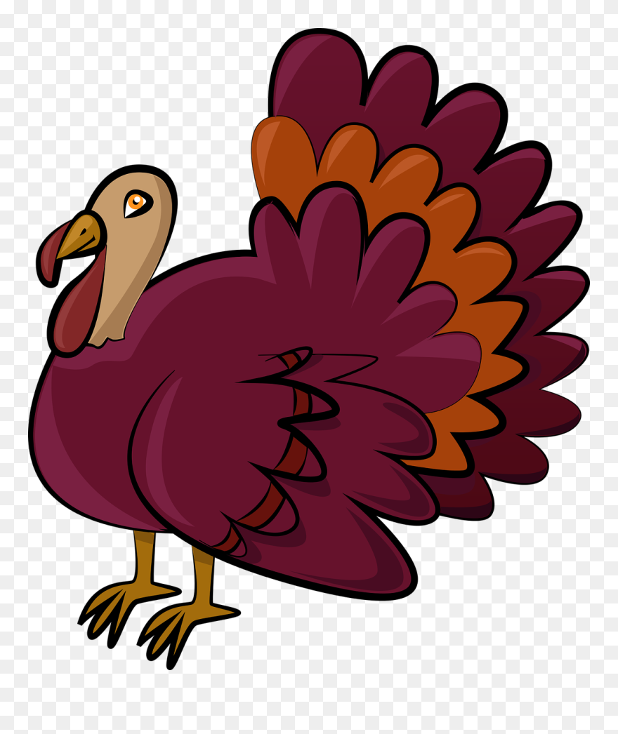 Grafico De Un Pavo Clipart