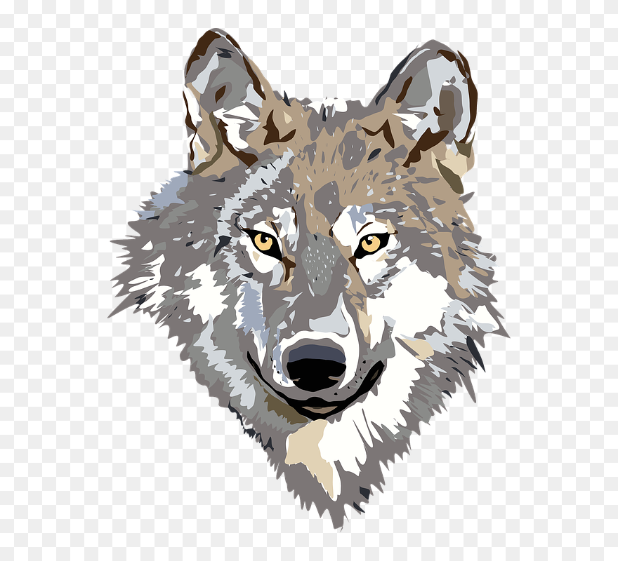 Animal Groups Roleplay Wiki - Transparent Wolf Head Png Clipart